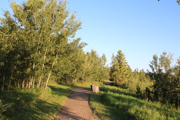 Summer Evening On The Trail, Elk Island National Park, Alberta