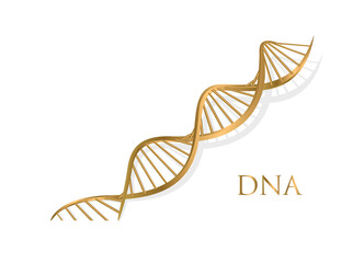 DNA. Abstract 3d gold color DNA molecule. Medical science, genetic biotechnology, chemistry biology, gene cell concept vector illustration or background. innovation technology concept