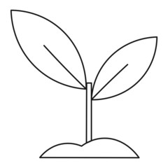 House plant sprout plant ecological icon isolated