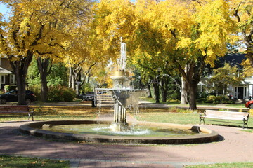 Obraz premium fountain in the park