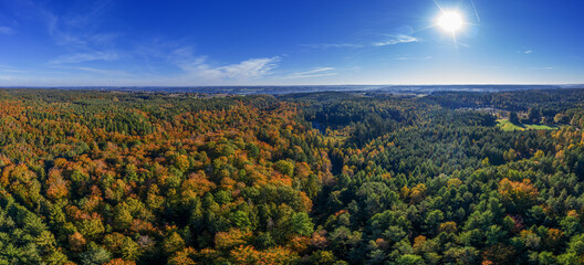 Mieszany las na Kaszubach w północnej Polsce © Janusz Lipiński