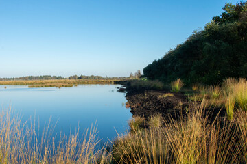 landscape with lake