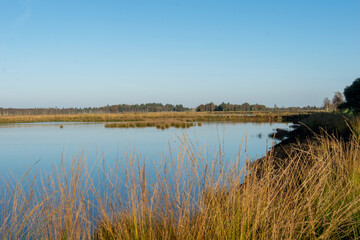 the river in the morning