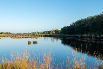 reflection in the water