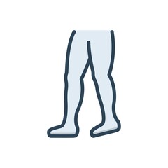 Color illustration icon for leg 
