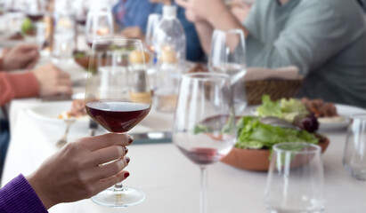 hand holding wine glass in vineyard