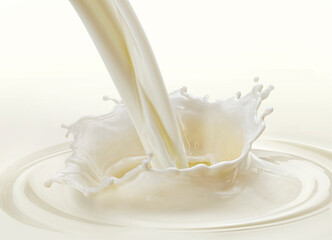 Pouring milk splash on white background - obrazy, fototapety, plakaty