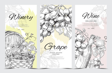 Vector design of vintage banners with grape vines, wine bottle, glass and cask