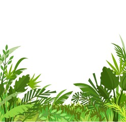 Tropical green herbs and shrubs. Jungle meadow. Palm shoots trees and nice summer weather. Isolated on white background. Funny cartoon style. Green countryside landscape. Vector.