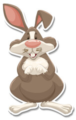 Rabbit cartoon character on white background