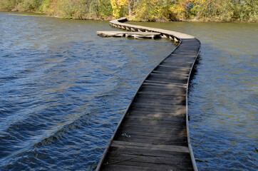 floating walkway made of wooden planks. narrow curved paths on stilts driven into the bottom, above the lake water. has no railings. more design walkway made of individual circular boards. autumn