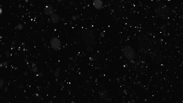slow falling snow on the black backgrounds