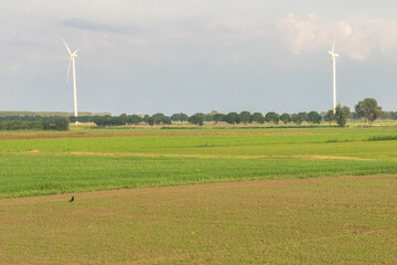 Antwerp, Belgium, a rainbow over a field windmills
