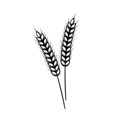 Wheat ears icon. Agricultural symbol isolated on white background. Vector illustration.