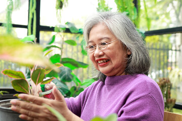 Asian elderly woman at home She smiles happily to be able to plant trees and take care of them,...