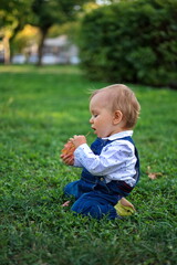 Cute little baby kneels on the grass in a park