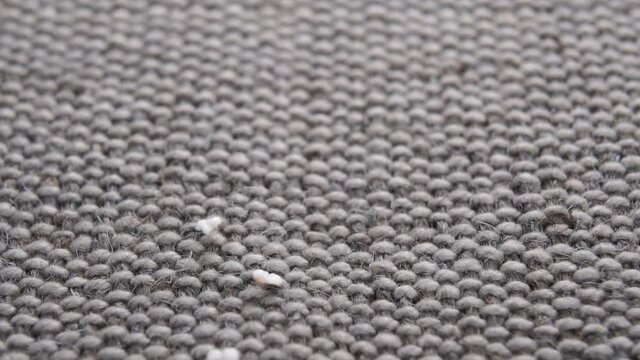 Amaranth popping, puffed grains falling on a rustic rough jute surface in slow motion. Pseudocereal food, gluten free. Macro