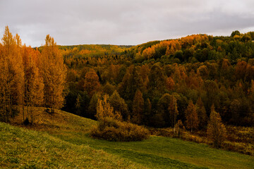 Hilly landscape with autumn bright trees in yellow, orange, green and brown. High quality photo