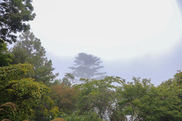 morning in the mountains