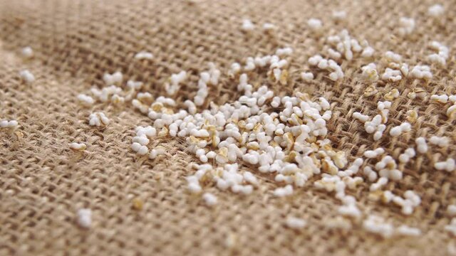 Amaranth popping, puffed grains on a rustic burlap. Pseudocereal food, gluten free. Macro. Dolly shot