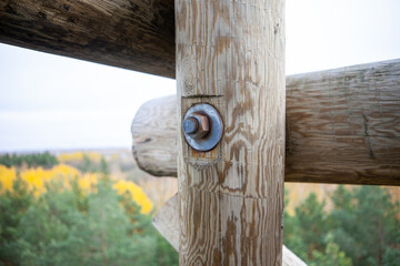 Screw with nut in the log - Kleistu forest, Latvia