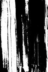 Abstract black and white vector background. Dry brush strokes template