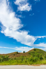 corn field mountain