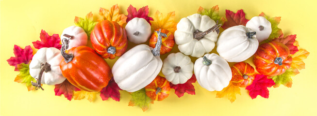 Thanksgiving Pumpkin Decoration Background