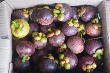 Heap of fresh mangosteen fruits in brown paper box