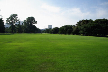 日本の公園芝生Japanese lawn park