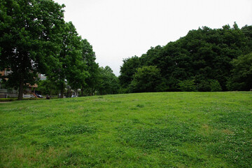 Fototapeta na wymiar 日本の公園芝生Japanese lawn park