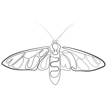 Black and white butterfly line art vector illustration. Continuous one line drawing of butterfly silhouette isolated on white background. Butterfly for background, logo or tattoo.