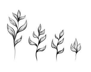 Monochrome natural set of sketches of plants and stems with foliage on white background. Vector outline herbal image with branch with leaves isolated from background.
