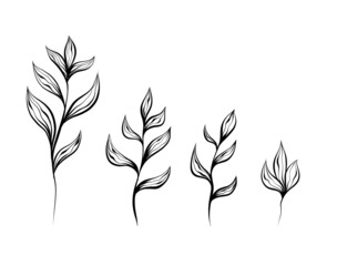 Fototapeta premium Monochrome natural set of sketches of plants and stems with foliage on white background. Vector outline herbal image with branch with leaves isolated from background.