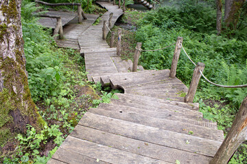 Fototapeta premium Old wooden path or boardwalk with stairs in forest. Recreation park. Ecology and nature safety. Forest scene.
