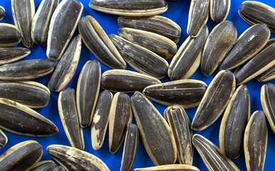 Black and white sunflower seeds on a blue background