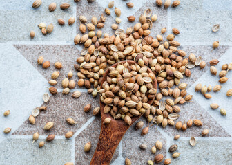 Directly Above shot of coriander seeds on wooden spoon