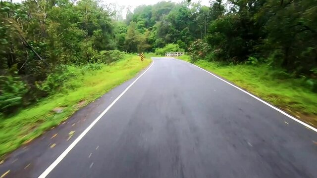 tarmac road covered with dense green forest isolated image is showing the amazing beauty. This image is taken at karnataka india.