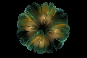 Beautiful abstract 3d colored flower, glowing flower petals on a black background. 3d render