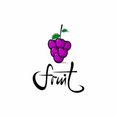 purple grape fruit illustration vector
