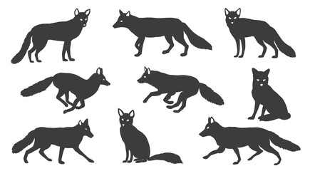 fox silhouettes 2021