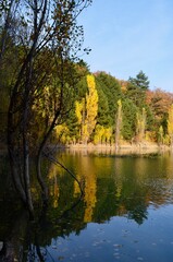 Lake in the mountains surrounded by the autumn forest. Water landscape.