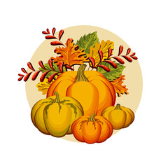 Cosy pumpkins vector illustration isolated on round beige background. Autumnal season ripe vegetables and orange maple, green aspen, yellow oak leafage in flat style. 
