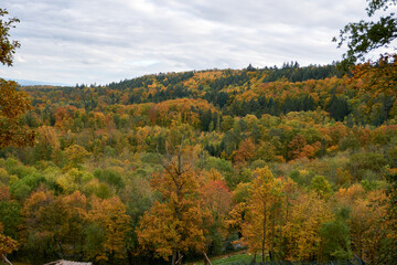 beautiful autumn panorama landscape with autumn trees 