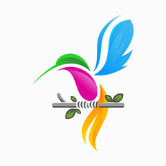 hummingbird logo abstract 