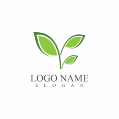 Obraz premium Leaf icon Vector Illustration design Logo template