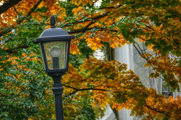 Laterne und B&auml;ume mit Herbstlaub