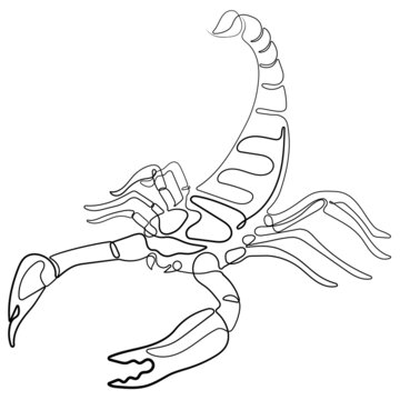 Scorpion icon in linear style vector illustration. Continuous one line drawing of scorpion silhouette isolated on white background. Scorpion for background, logo or tattoo.