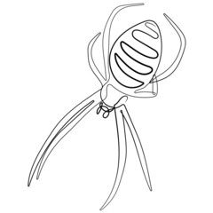 Close up macro shot of a spider in linear style vector illustration. Continuous one line drawing of spider silhouette isolated on white background. Spider for background, logo or tattoo.