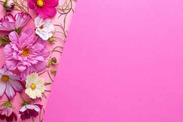 Beauty Flowers Composition On Pink Paper Background